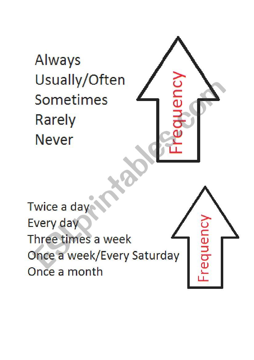 Frequency adverbs and expressions