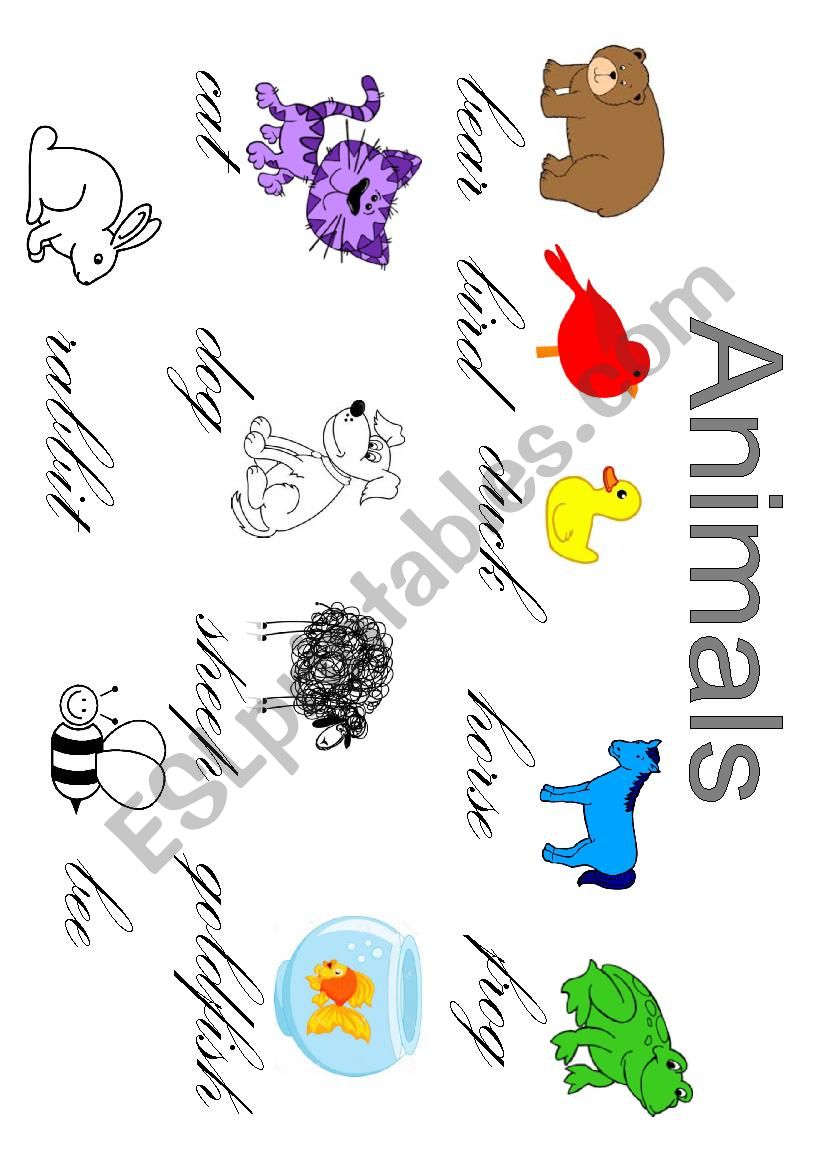 Animals worksheet