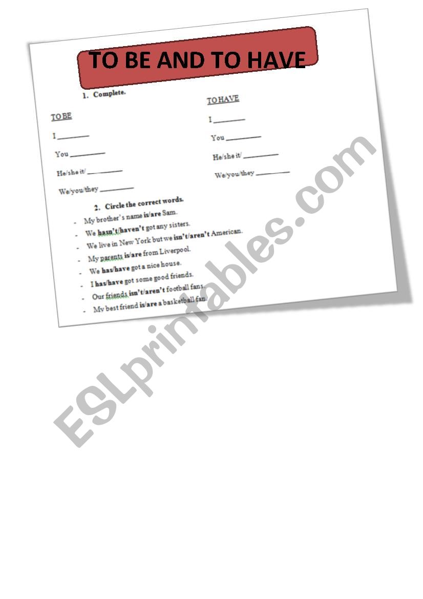 To be and to have worksheet