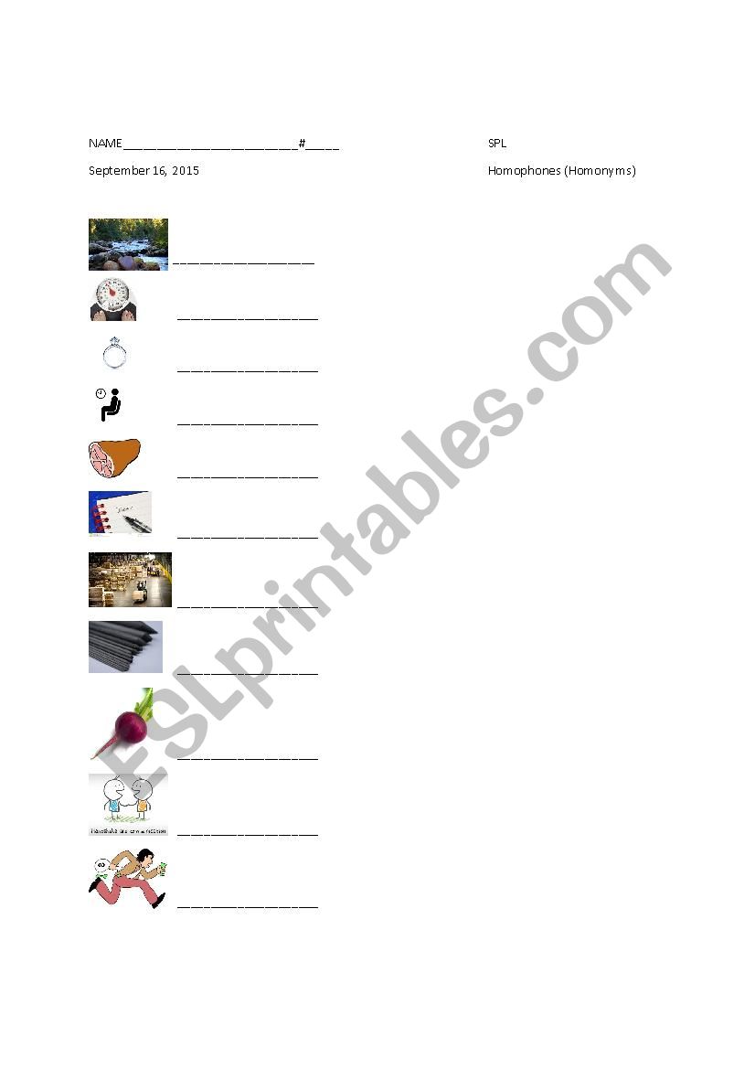Homophones worksheet