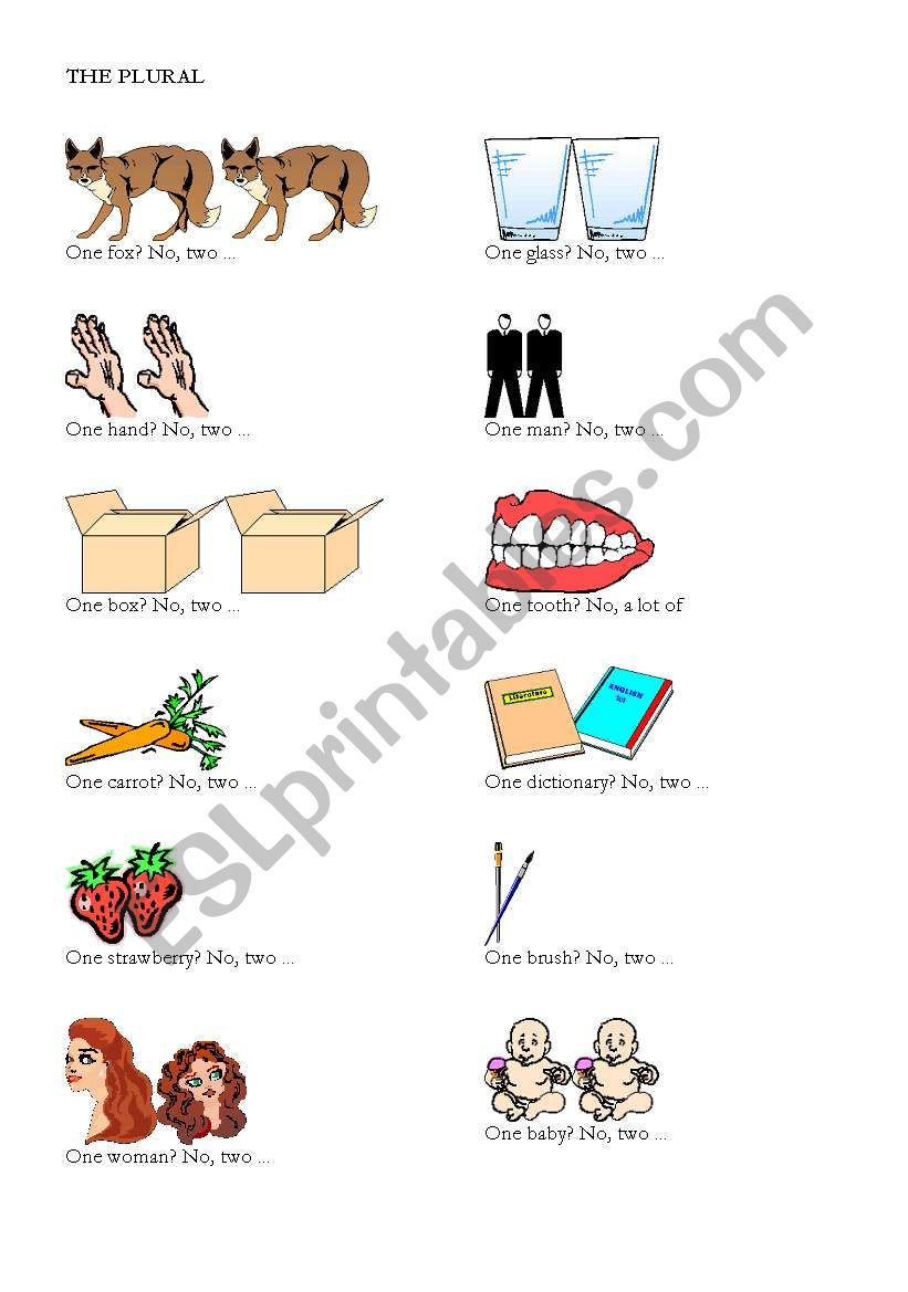 the plural worksheet