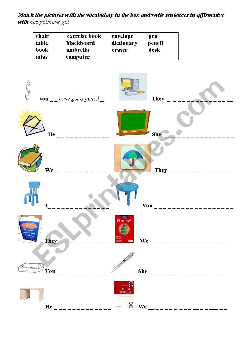 has got/have got  affirmative worksheet