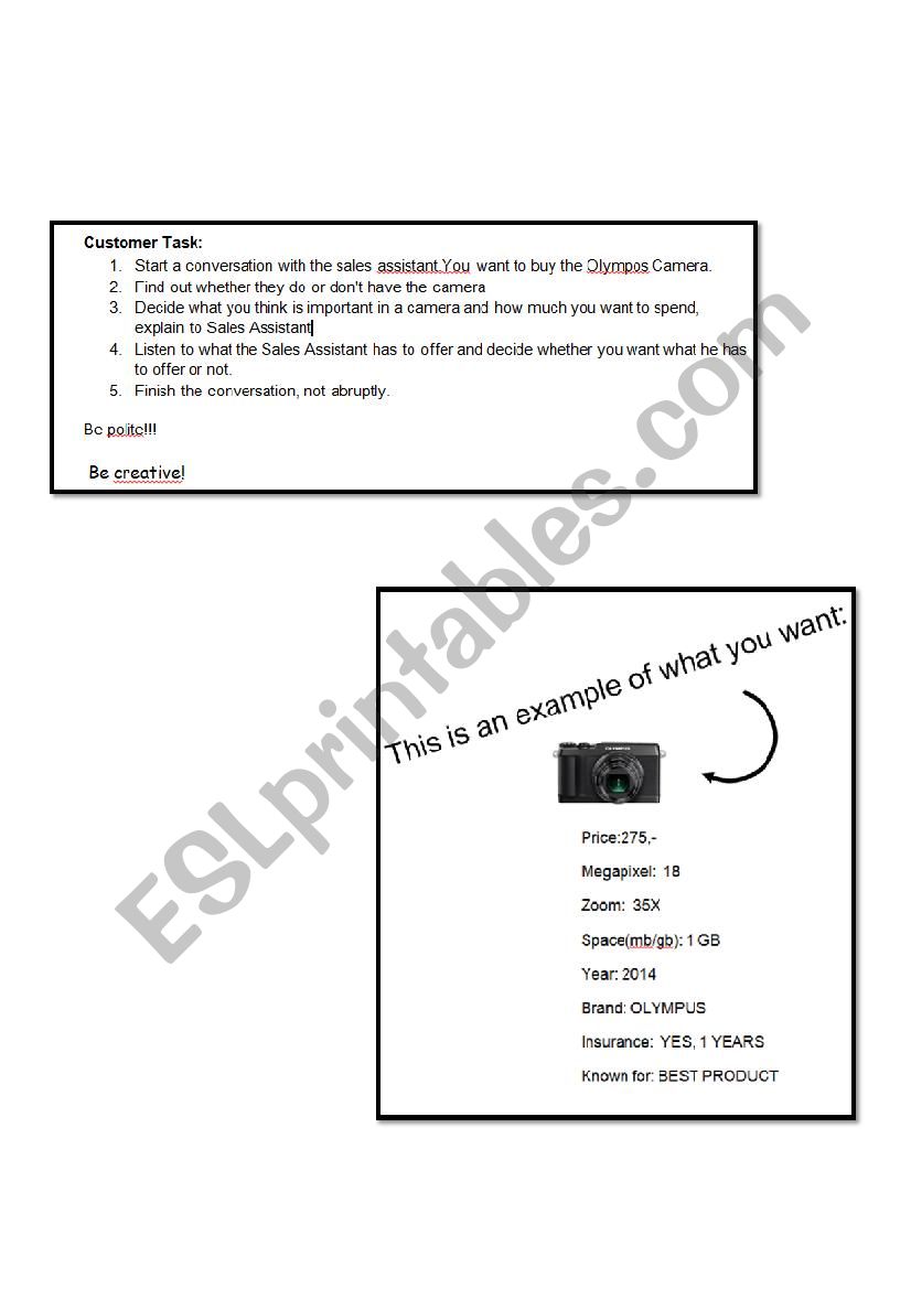 Speaking: Buying a Camera worksheet