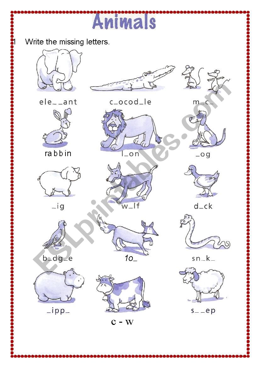 animals worksheet