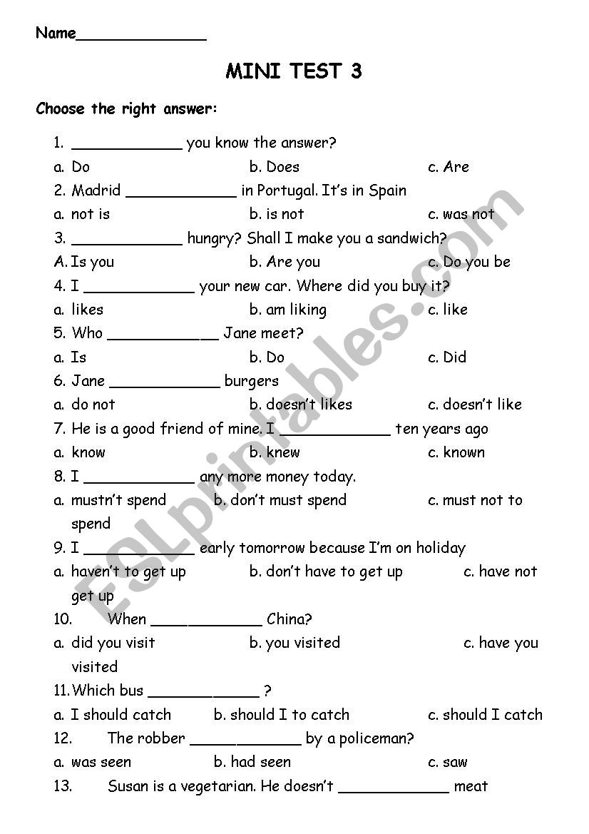 Mini Test worksheet