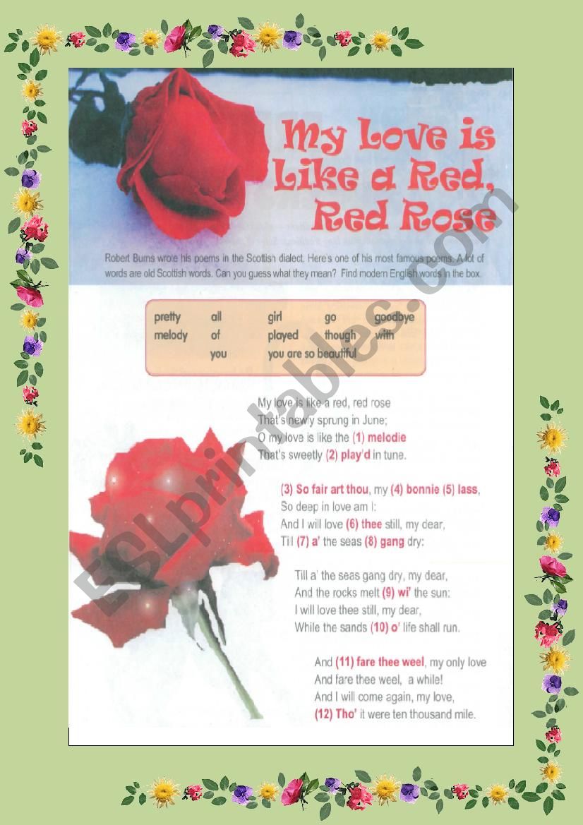 Robert Burns Poem worksheet