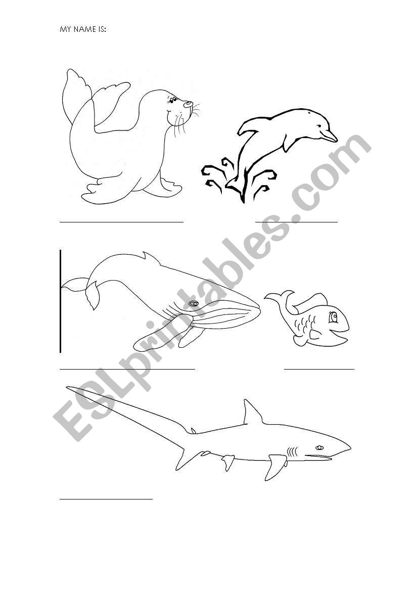 in the sea worksheet