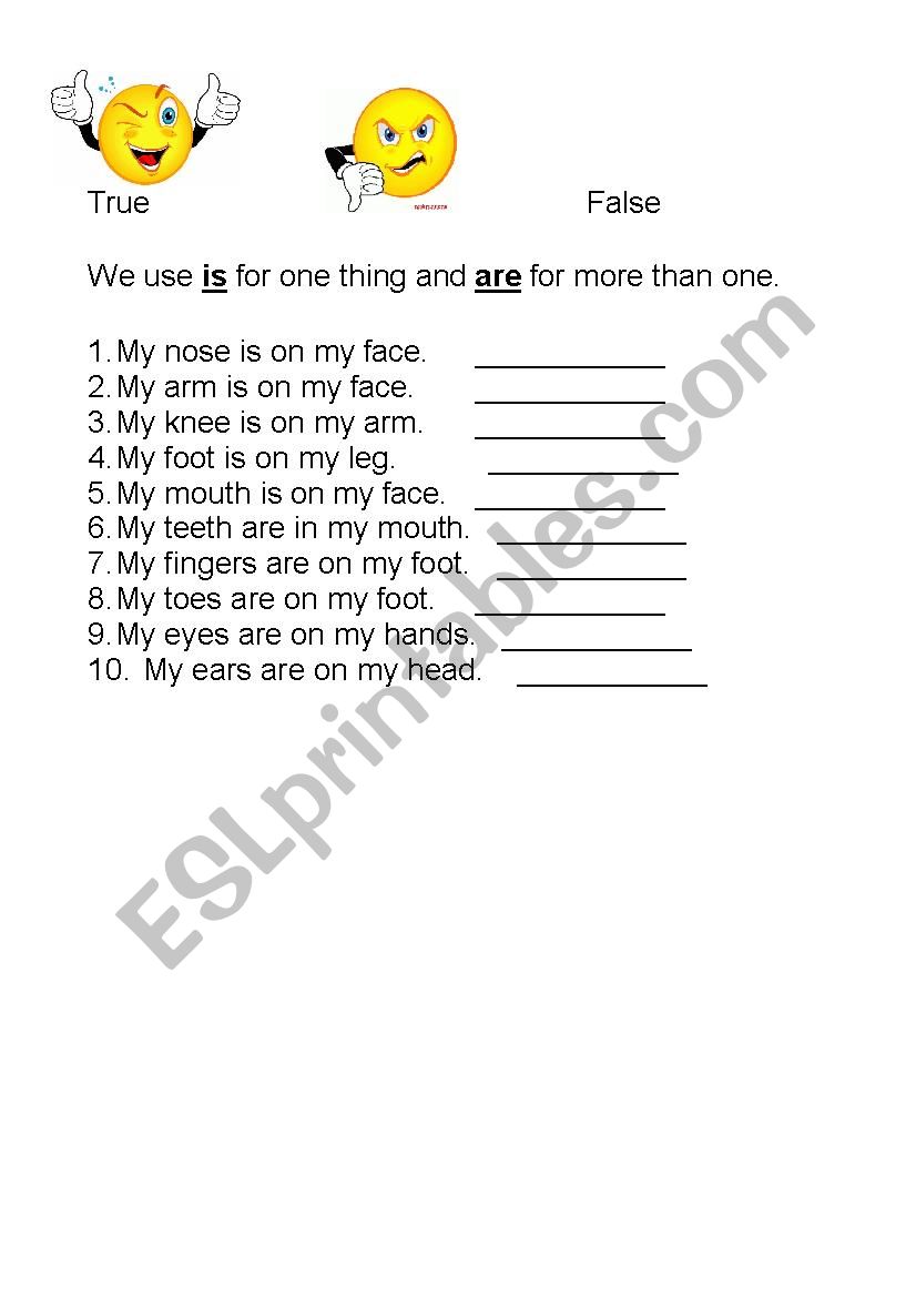 Body Parts- True or False worksheet