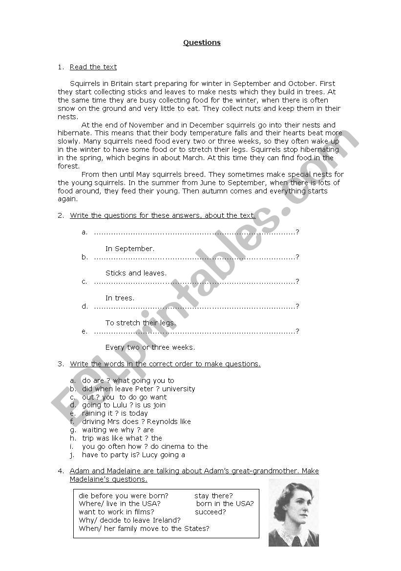 Questions worksheet