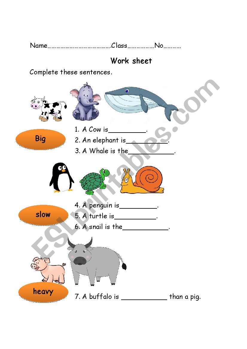 comparison of adjective worksheet