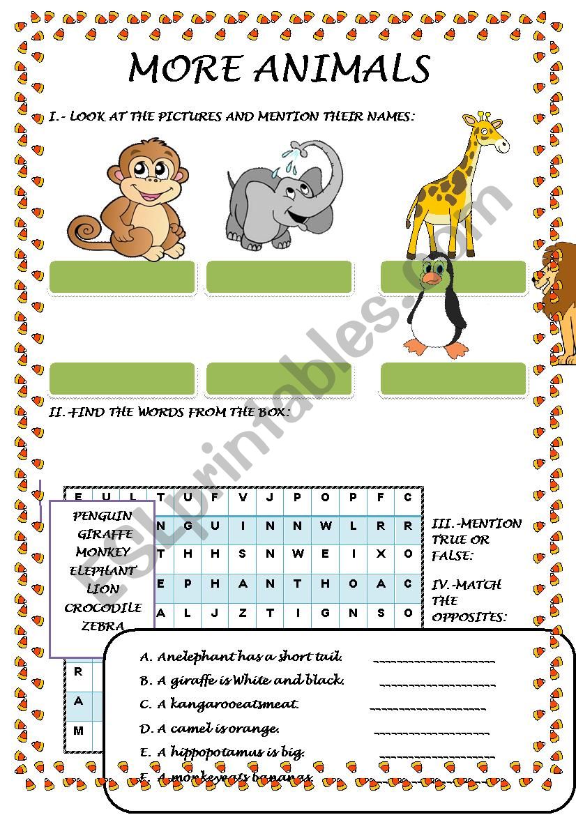 ANIMALS  worksheet