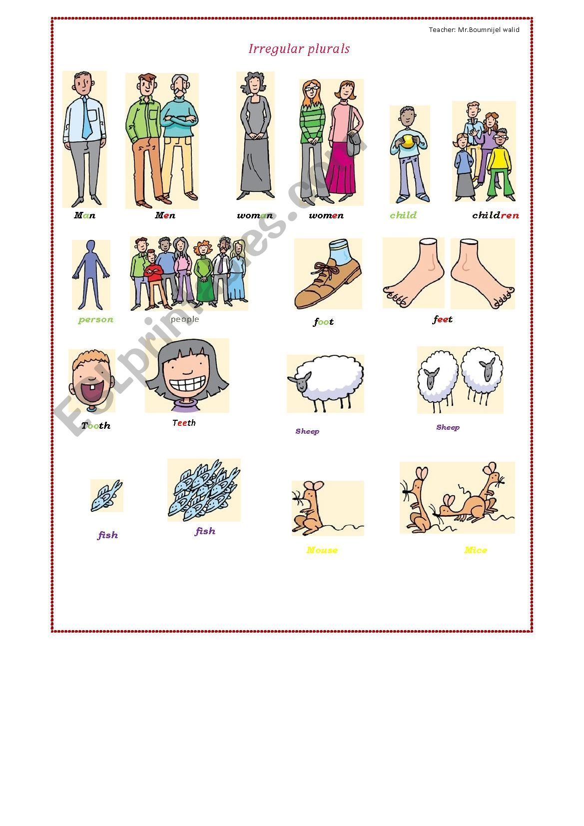 irregular plurals worksheet