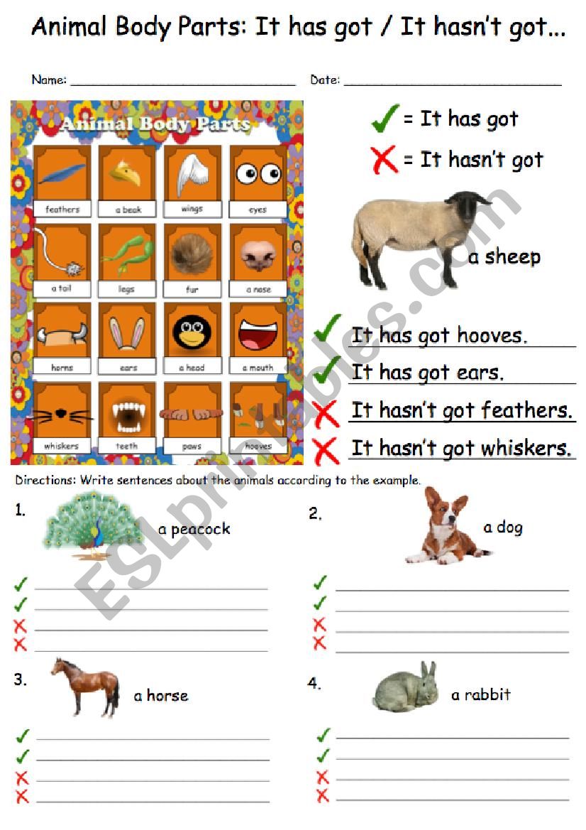 Animal Body Parts: It has got, It hasn´t got - ESL worksheet by al295801