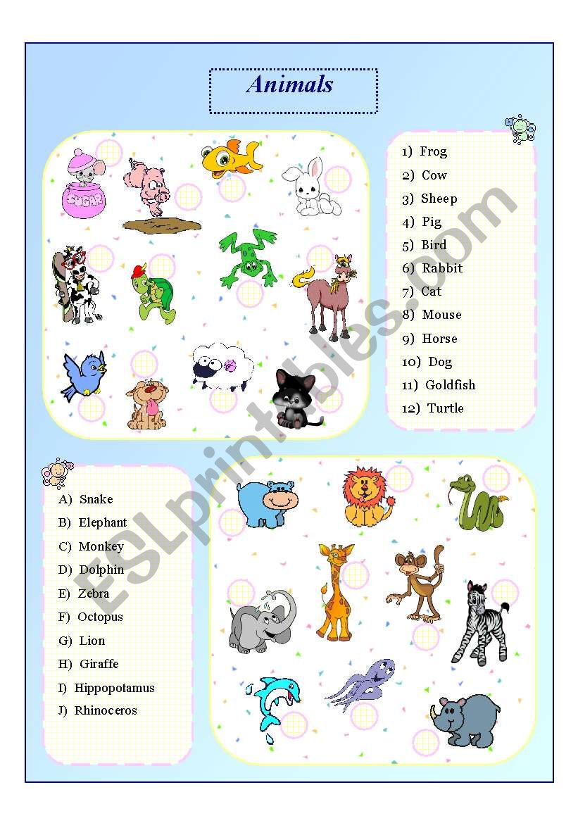 Animals worksheet