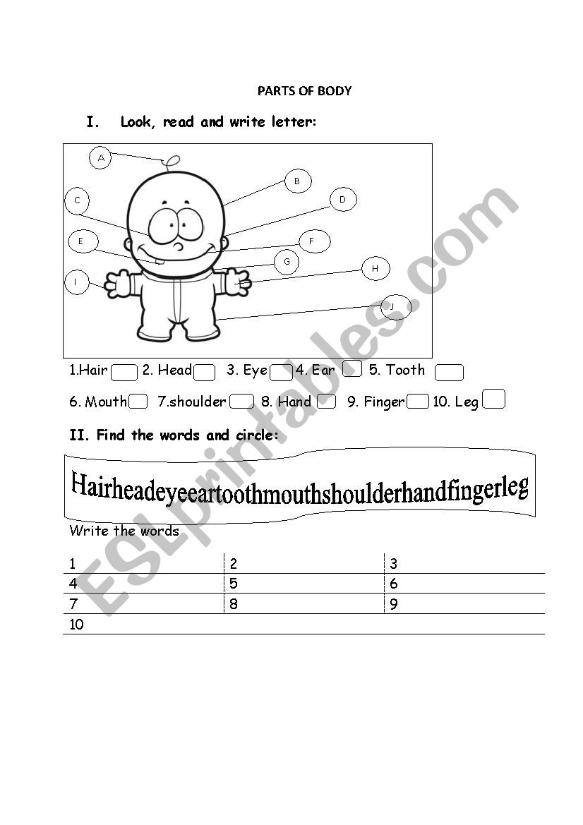 parts of body worksheet