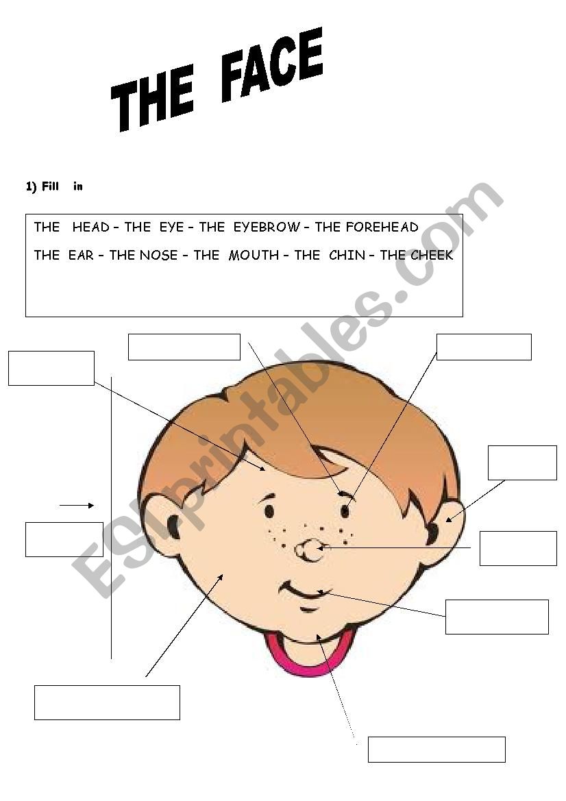 the face worksheet