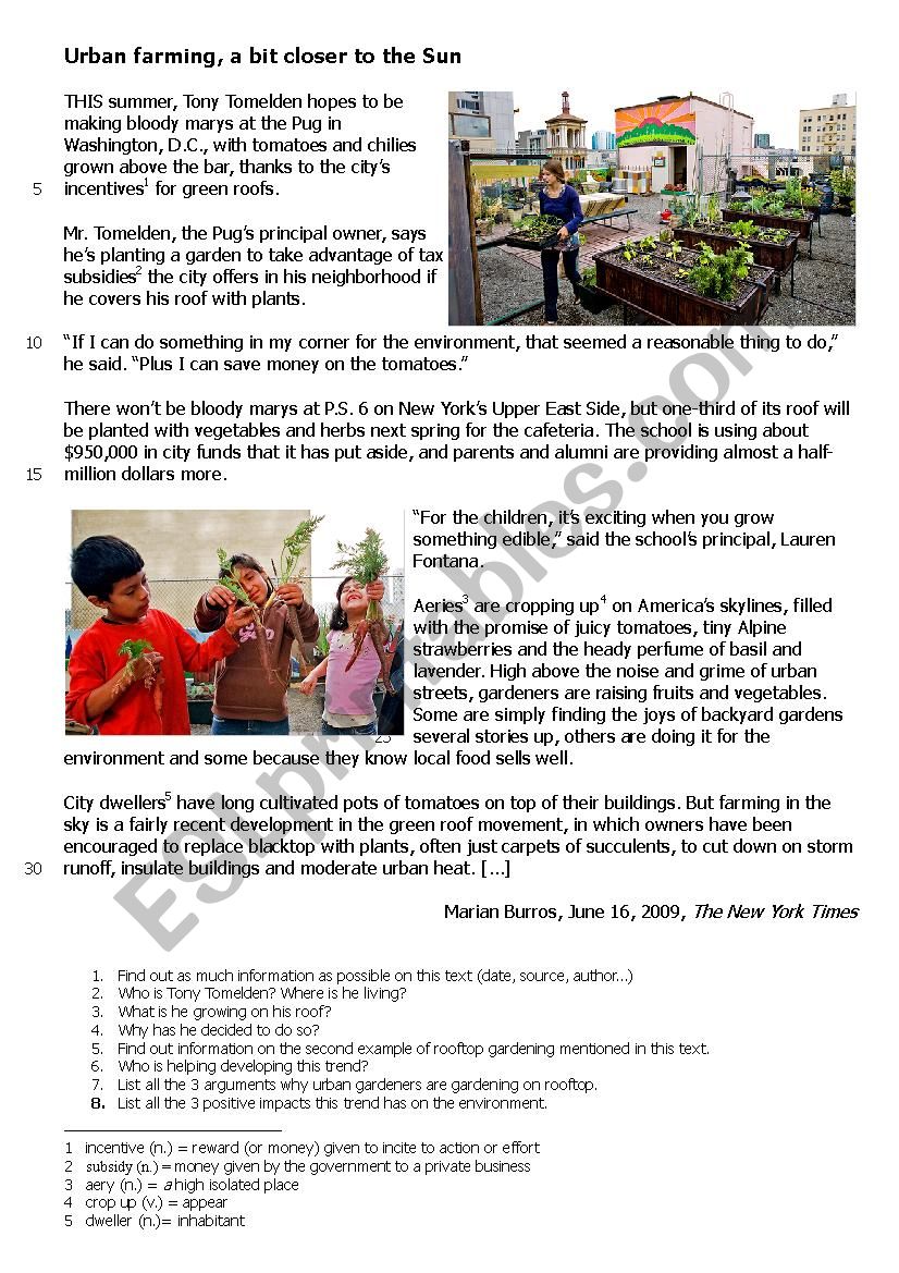 Rooftop gardening written comprehension