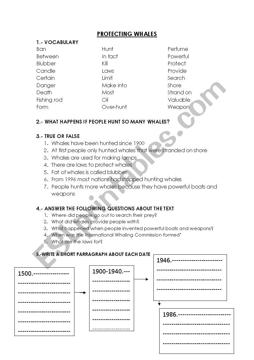 amco 5th grade worksheet