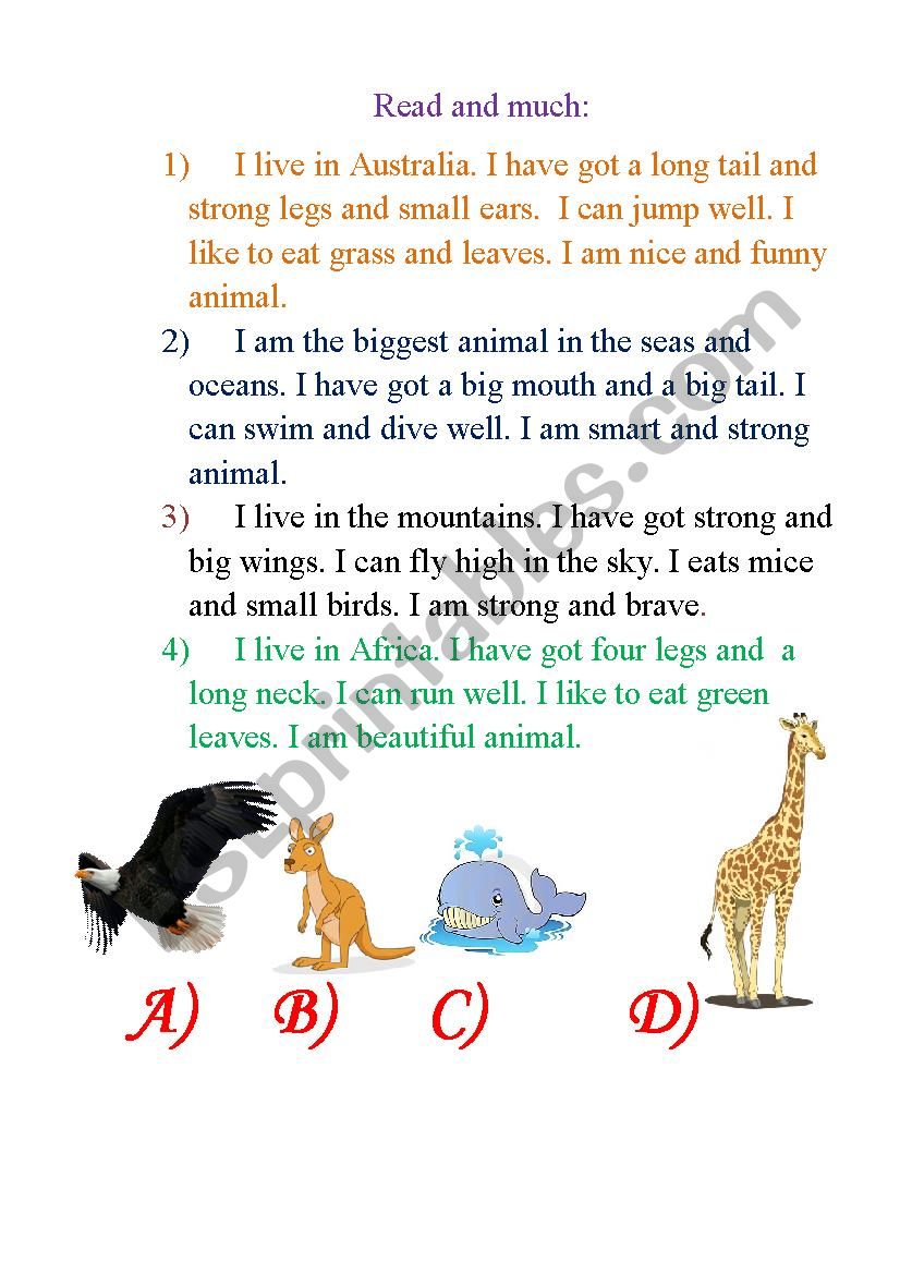 Read and match animals worksheet
