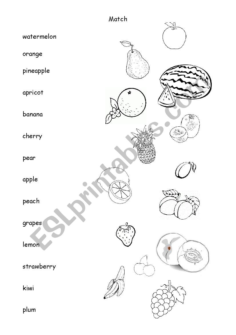 Fruit match worksheet