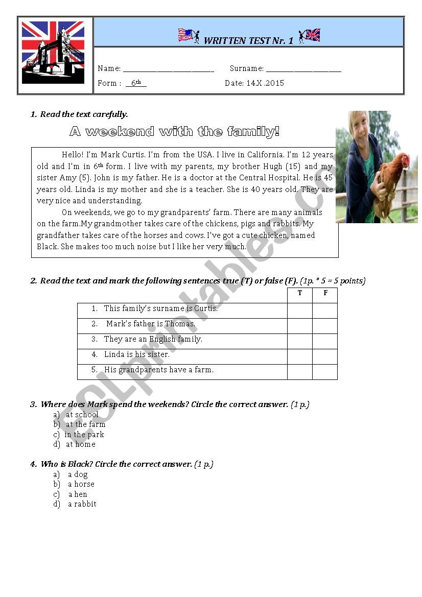 Test Paper Unit  1 Grade 6th worksheet