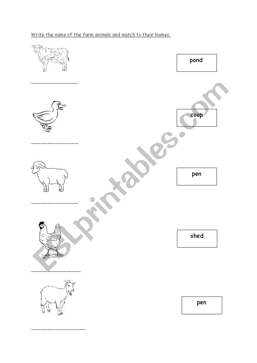 Farm Animal worksheet