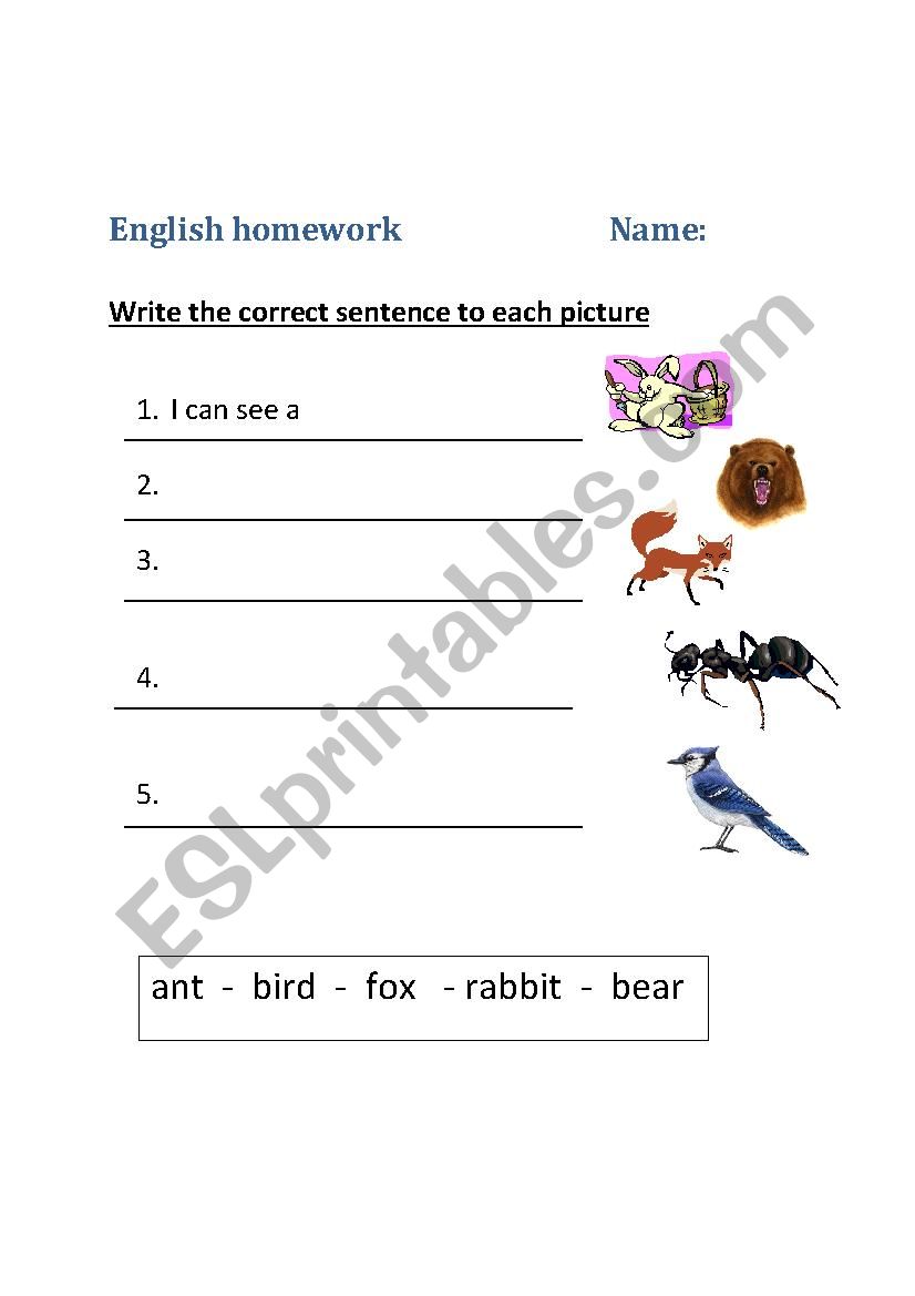 Animals, write the correct sentence. 