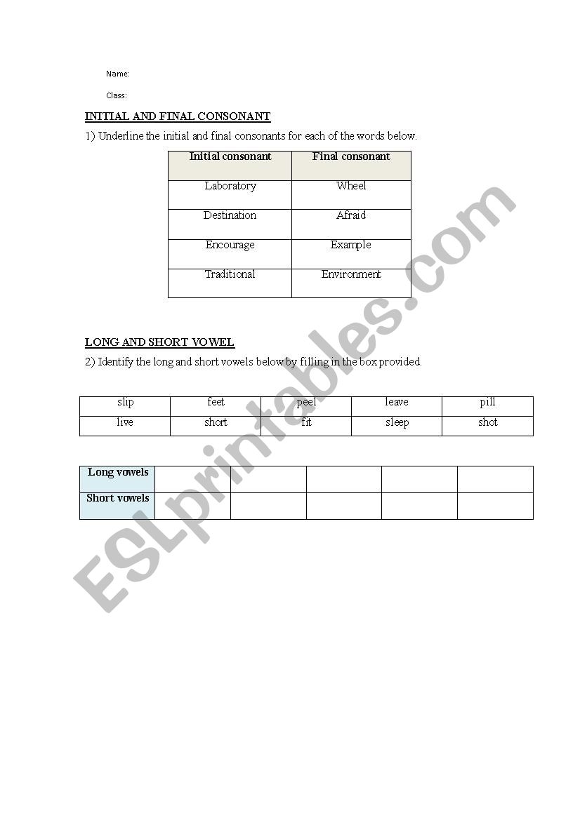 Initial and final consonant worksheet