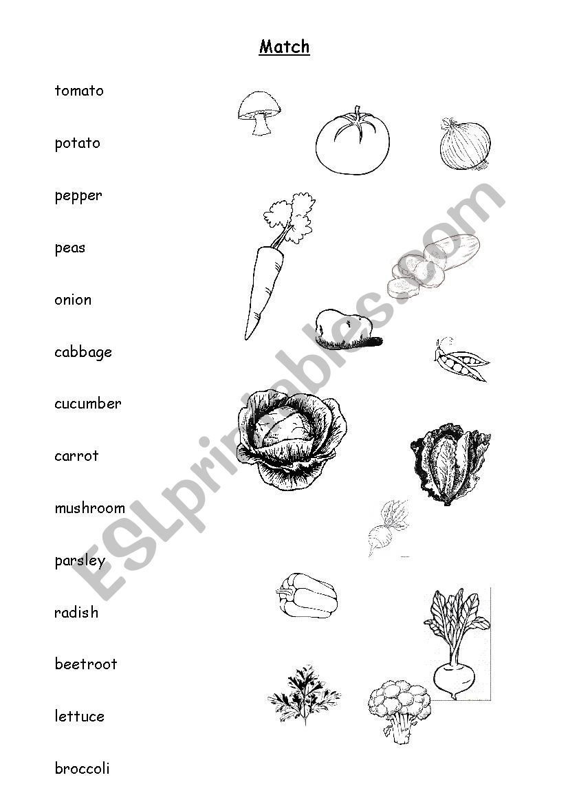 Vegetables match worksheet