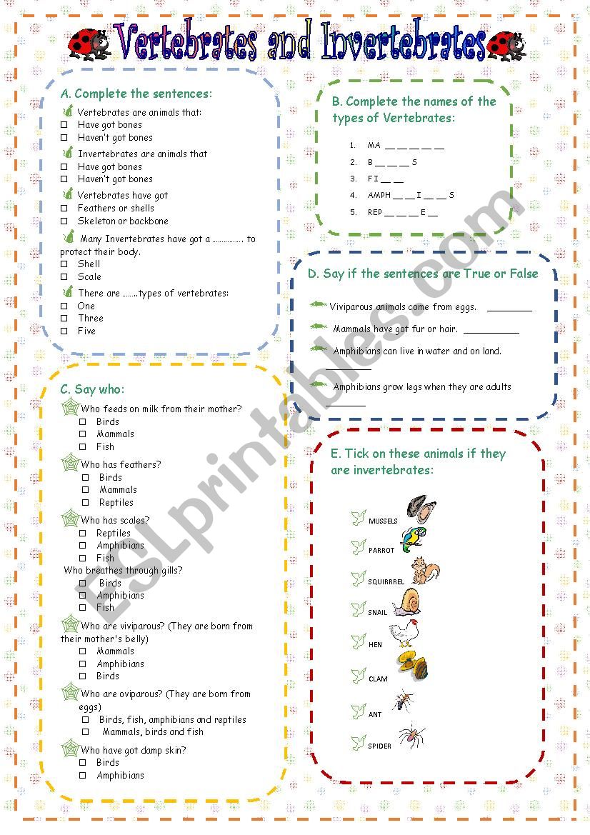 Vertebrates and Invertebrates worksheet