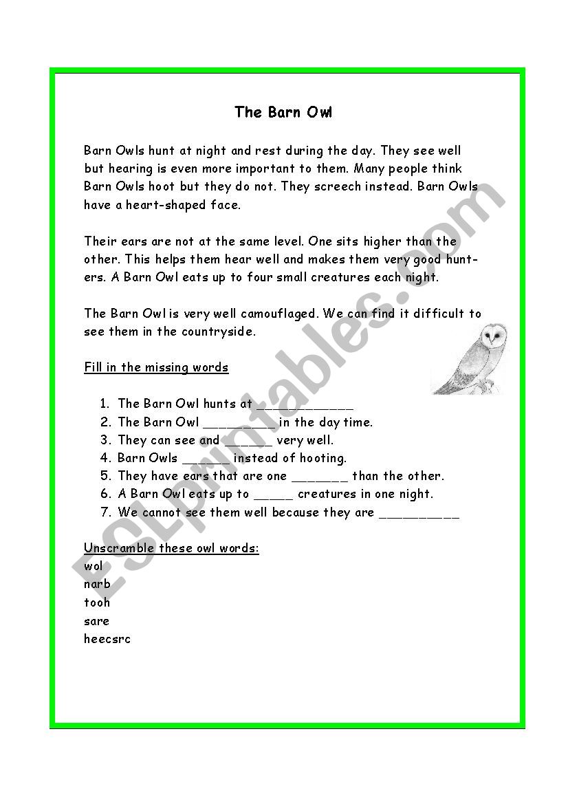 The Barn Owl worksheet