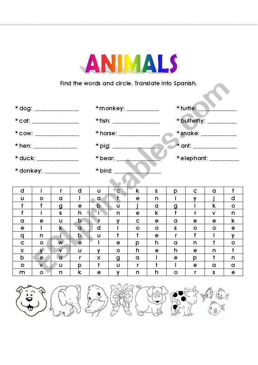 Animals worksheet