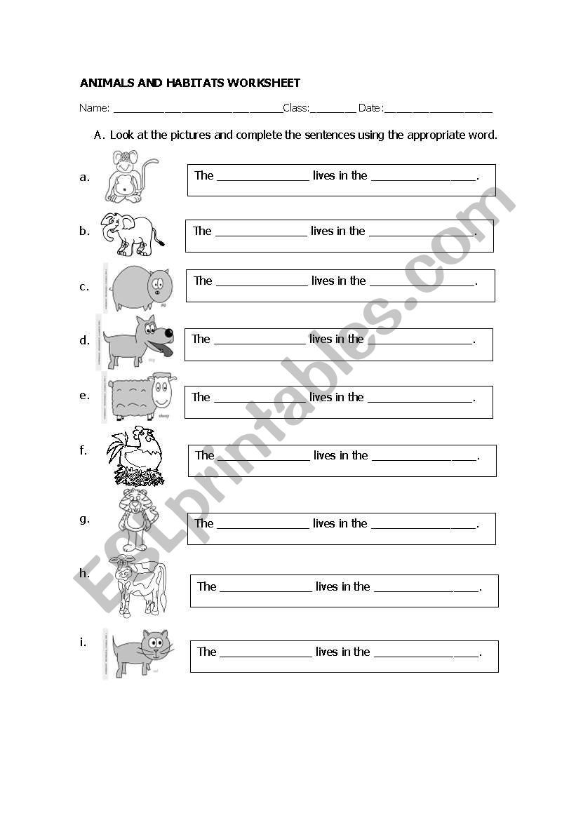 where do they live? worksheet