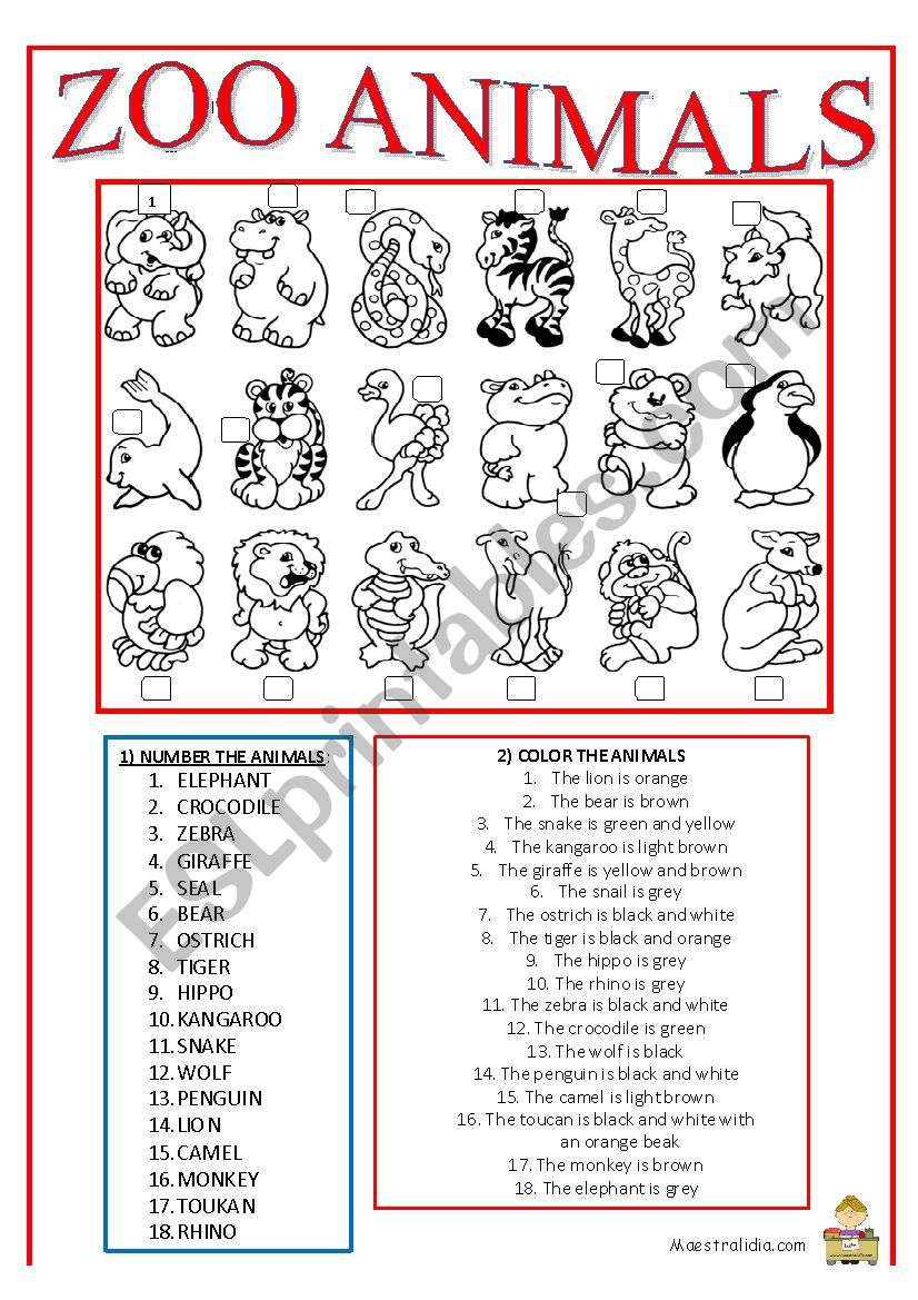 ZOO ANIMALS  worksheet