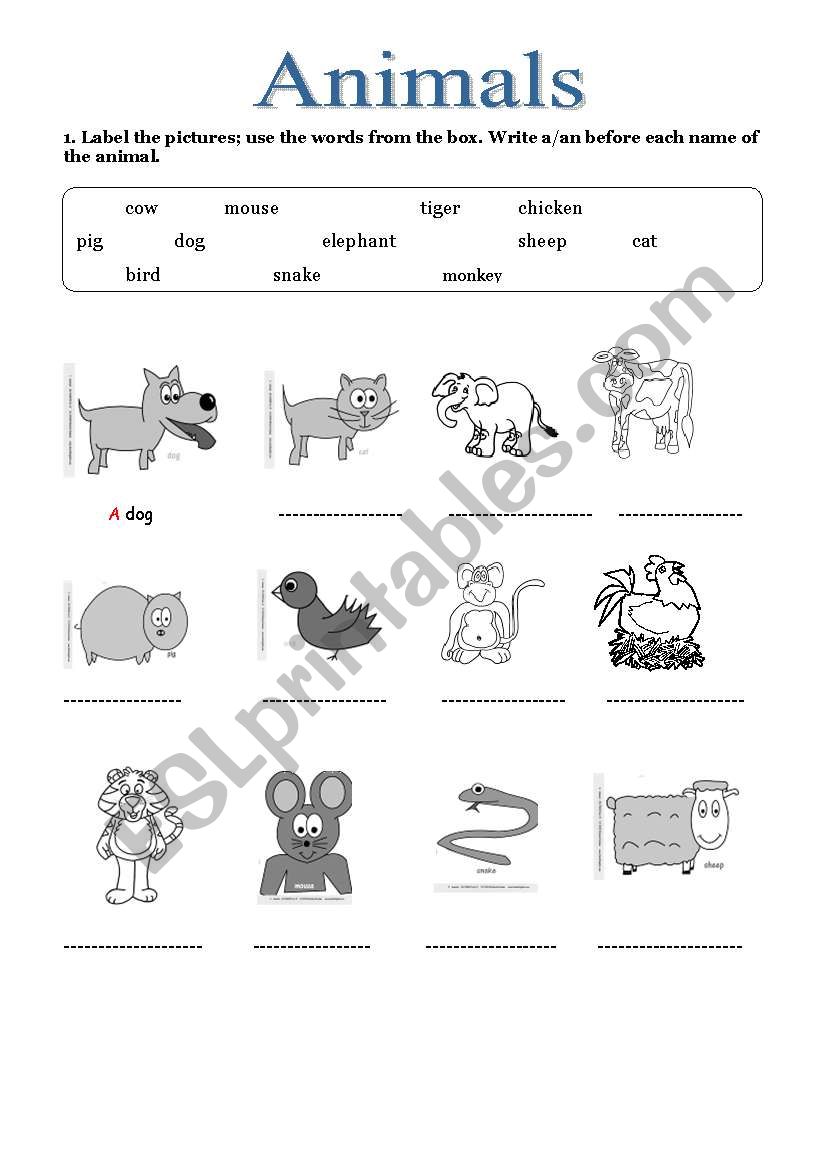 label the animals worksheet