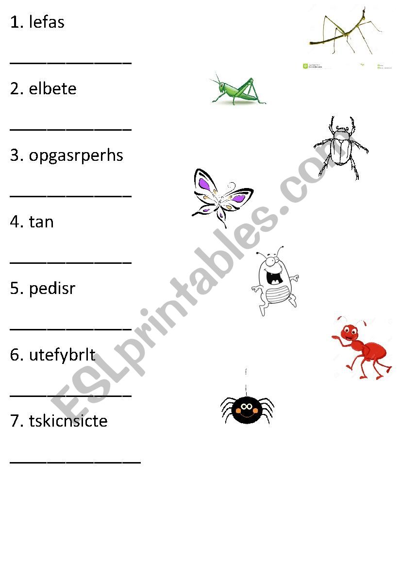 Insects unscrable worksheet