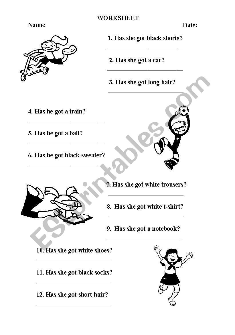 have got / has got worksheet