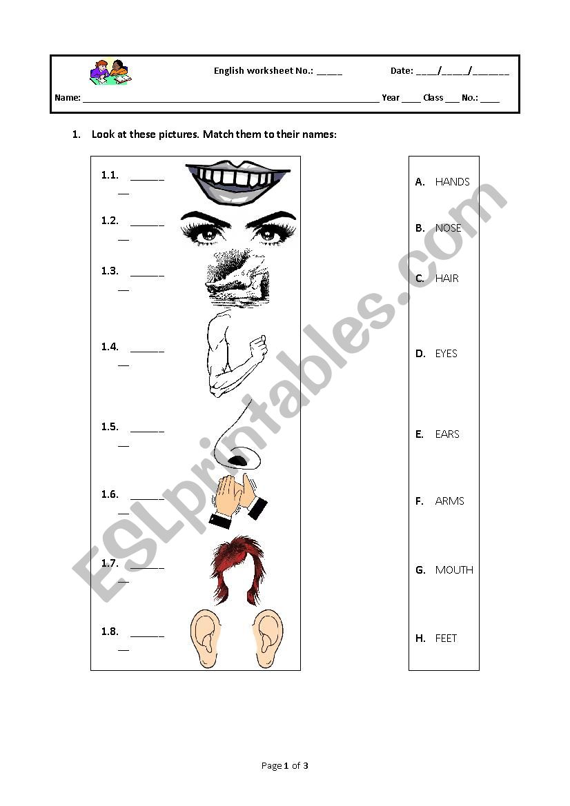 Parts of the body worksheet