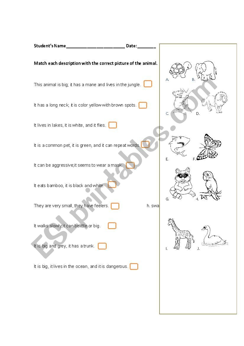 matching of animals worksheet