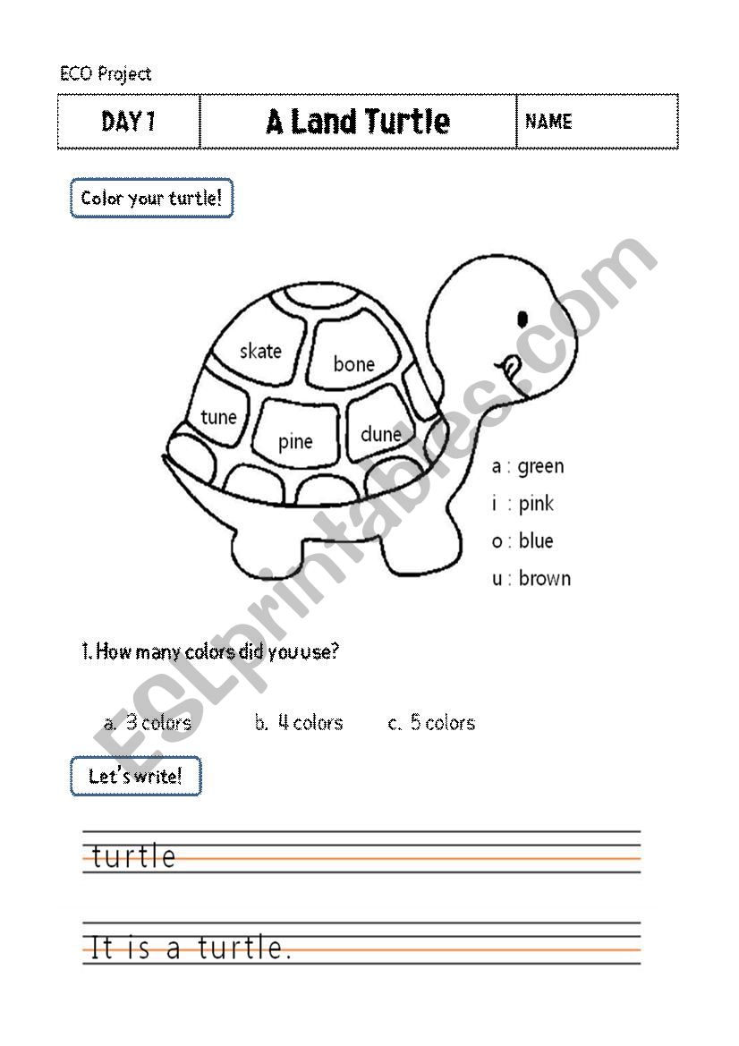 Turtle coloring according to long vowel sounds