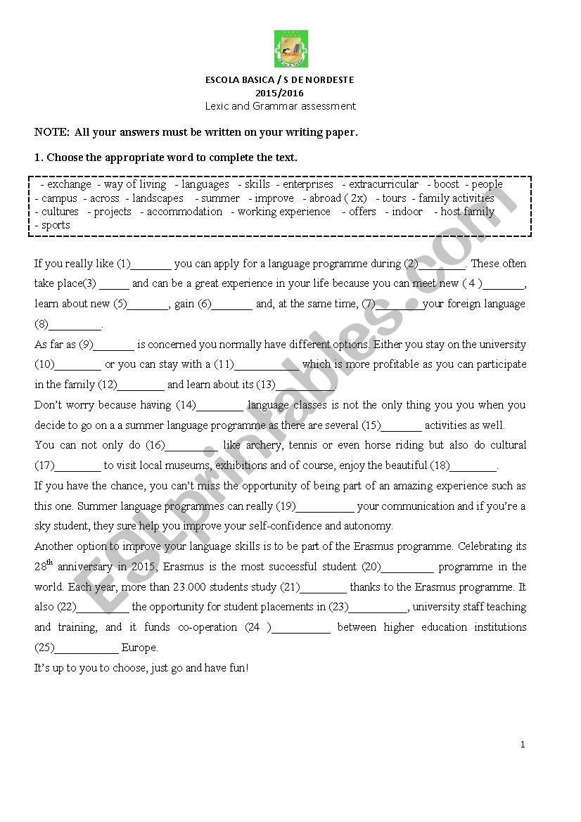 Lexic and Grammar Evaluation on the Topic Youth, Mobility and Languages