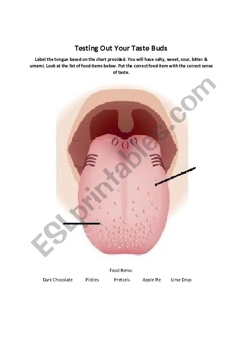 Testing Out Your Taste Buds  worksheet