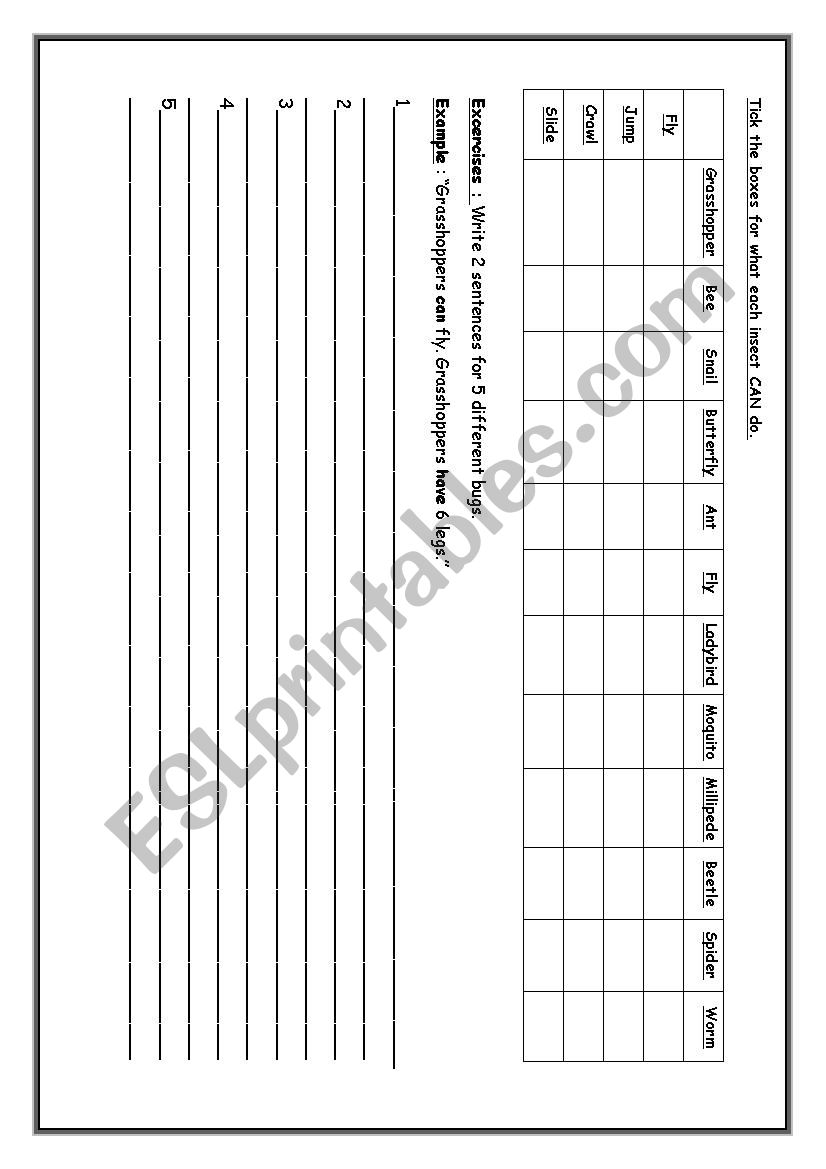 Insects with CAN for ability worksheet