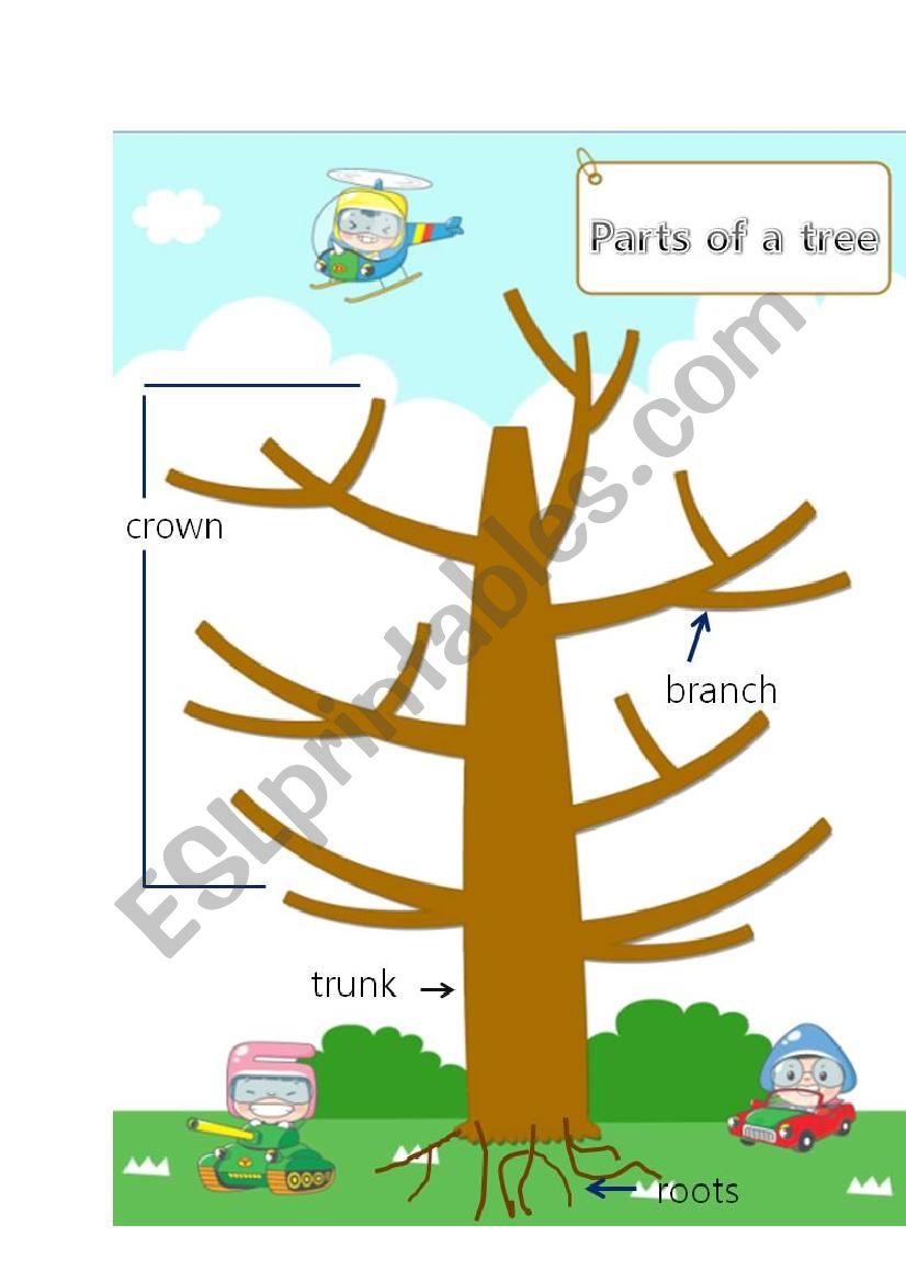 parts of tree worksheet