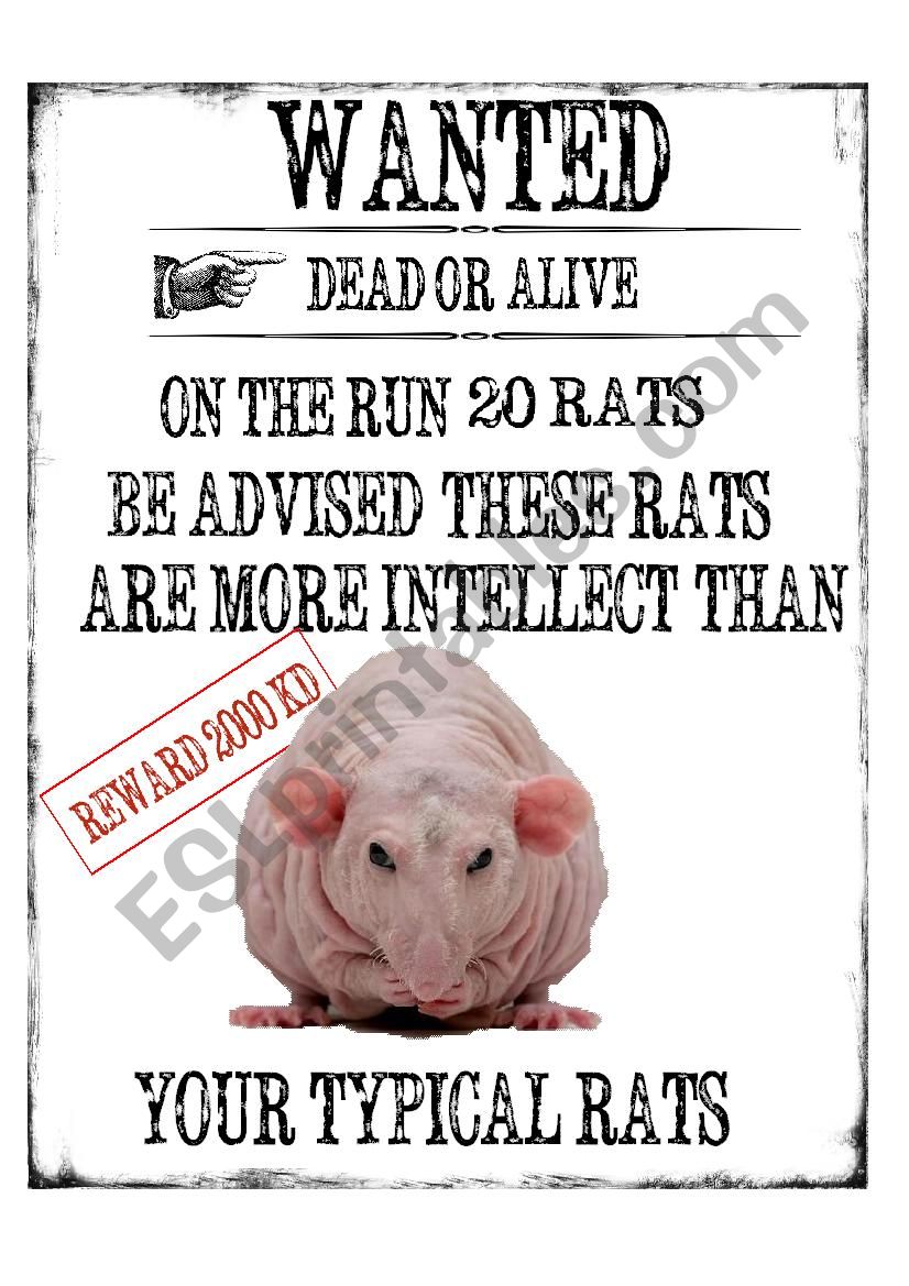 Rats worksheet