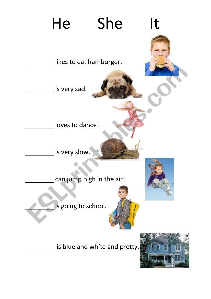 He She It worksheet