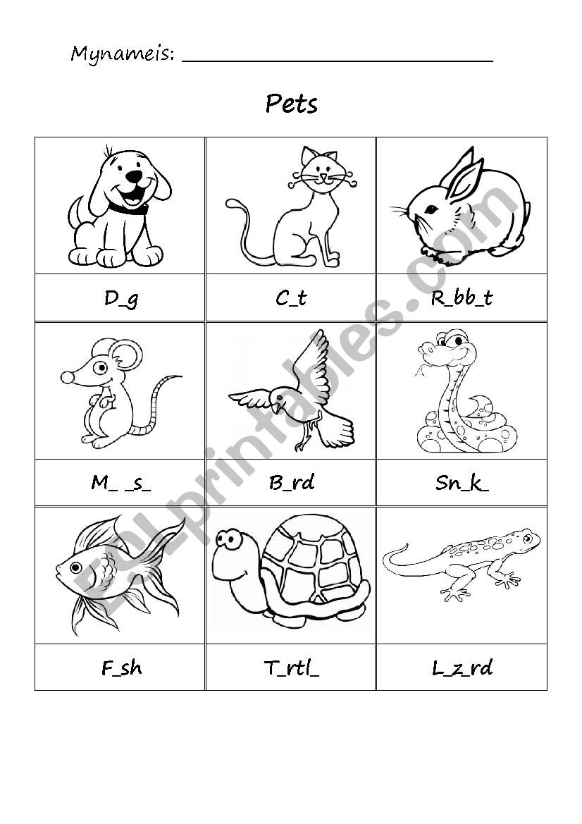 Pets worksheet