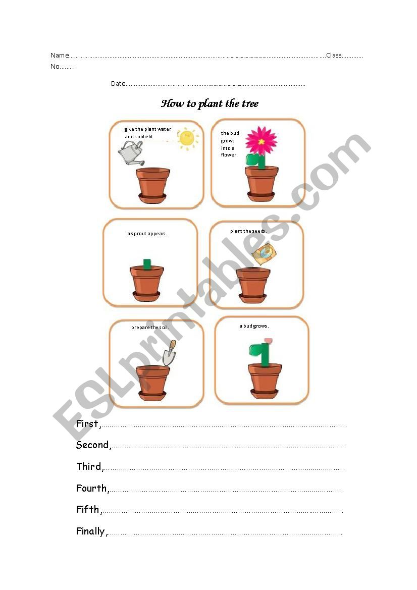 How to plant the tree worksheet