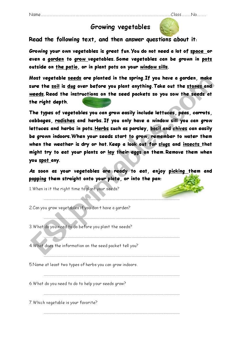 reading comprehension worksheet