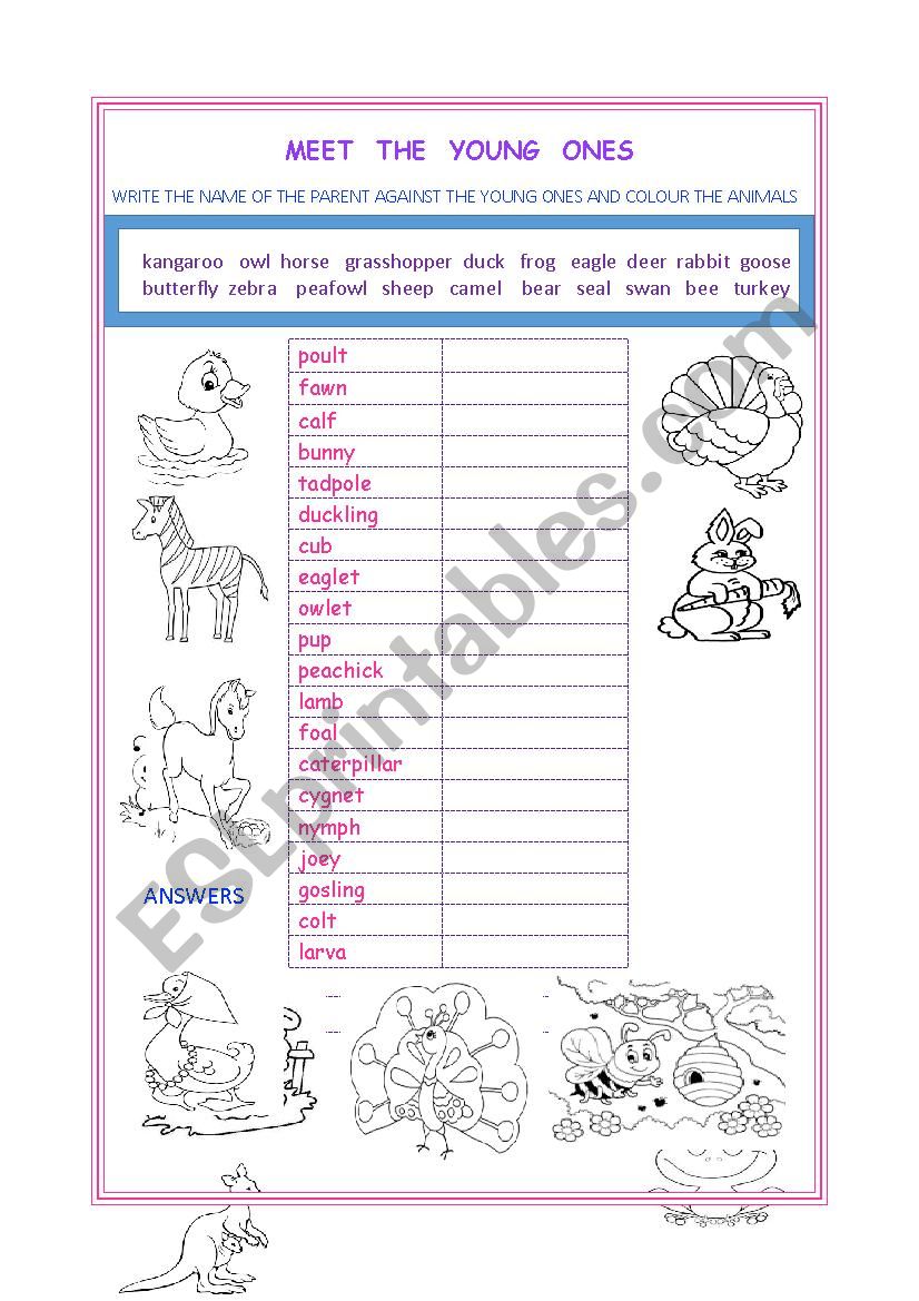 MEET THE YOUNG ONES  worksheet